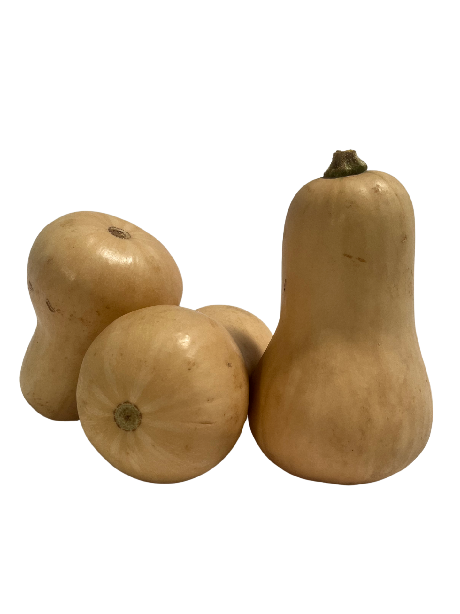BUTTERNUT Little Boys Farm PGS - /kg