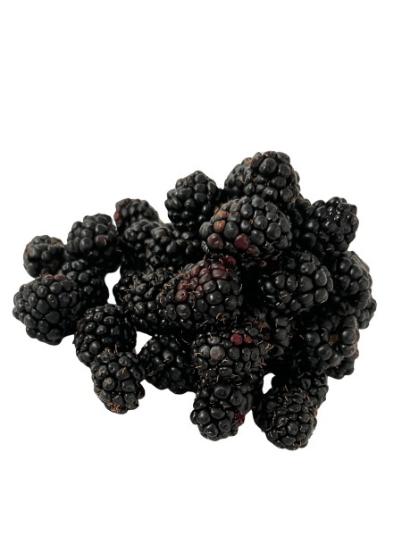 BLACKBERRIES Frozen PGS Organic Little Boys Farm