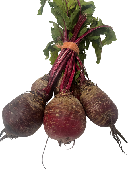 BEETROOT SelfClaim Organic, Living Soils, Stellenbosch - bunch