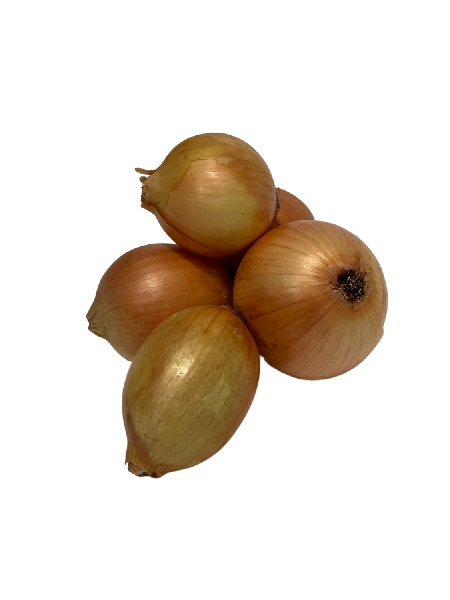 ONIONS Brown Self-Claim Organic Hout Bay