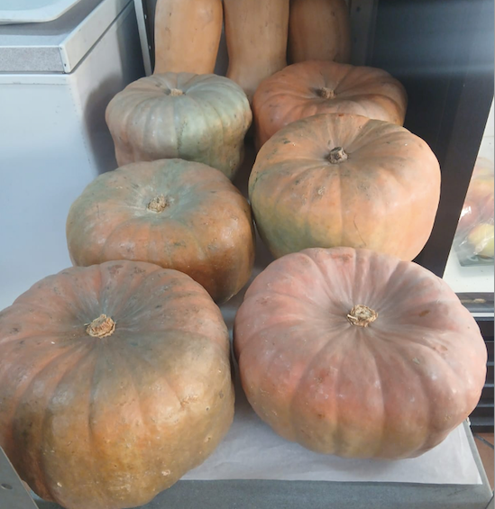 PUMPKIN SelfClaim Organic, Hempies du Toit - /kg