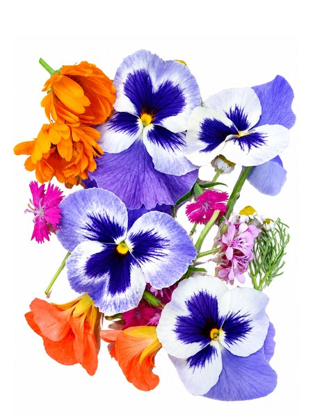 EDIBLE FLOWERS SelfClaim Organic, Vars Org, Stellenbosch - 10g