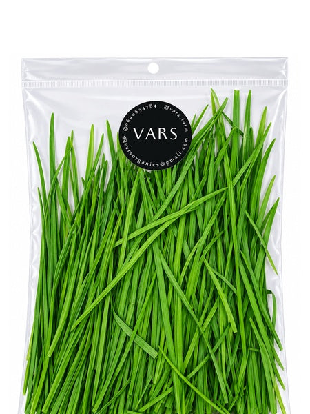 GARLIC CHIVES leaves Self-Claim Organic - 50g