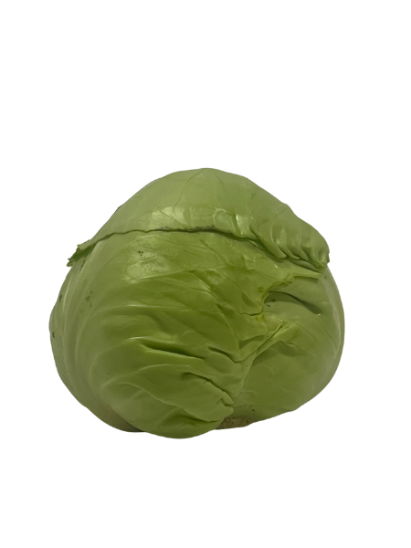 CABBAGE SelfClaimed Organic, Living Soils, Stellenbosch - head