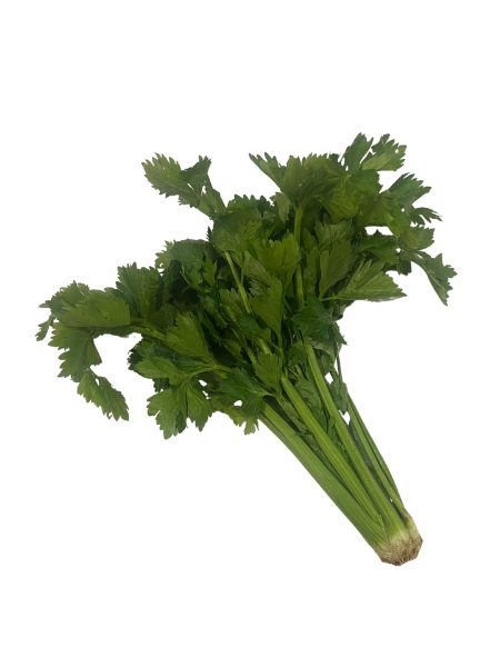 CELERY SOUP SelfClaim Organic, Morning Dew - Bunch
