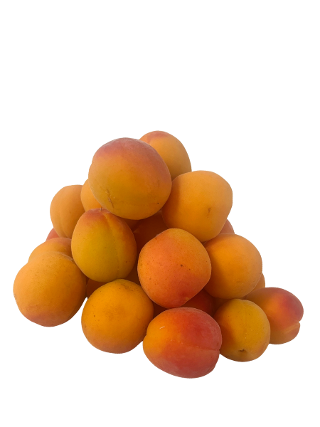 APRICOTS Frozen Little Boys Farm PGS - 500g