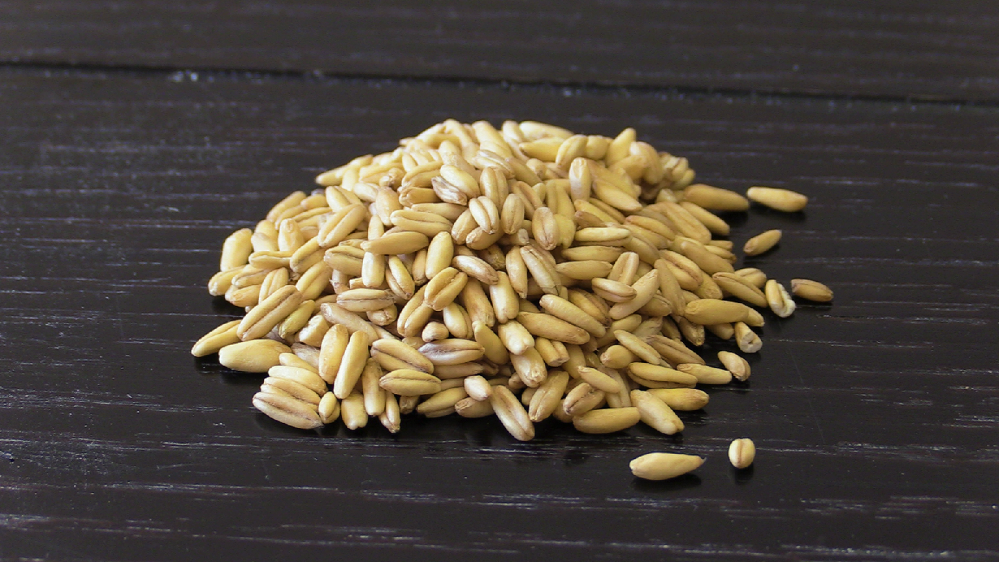 Oats Kernels Organic