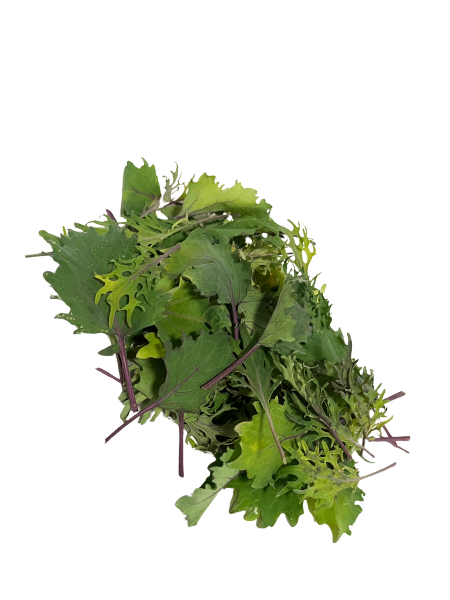 KALE Baby Leaf for Salad, Vars, Stellenbosch - 50g