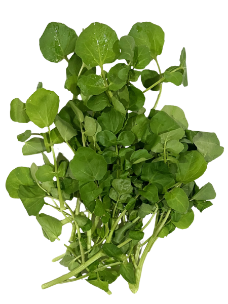 WATERCRESS leaves SelfClaim Organic, Vars, Stellenbosch - 50g