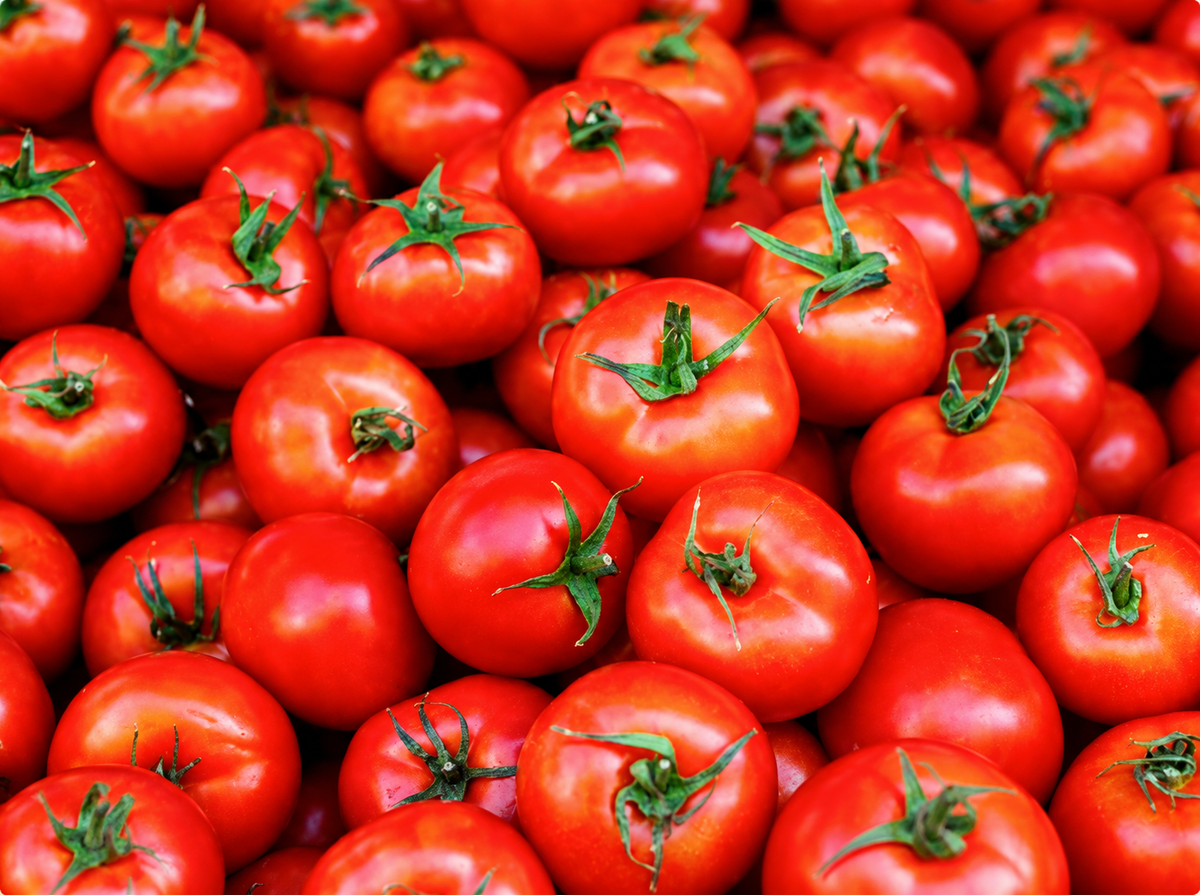 TOMATOES PGS Organic, Heirloom Foods