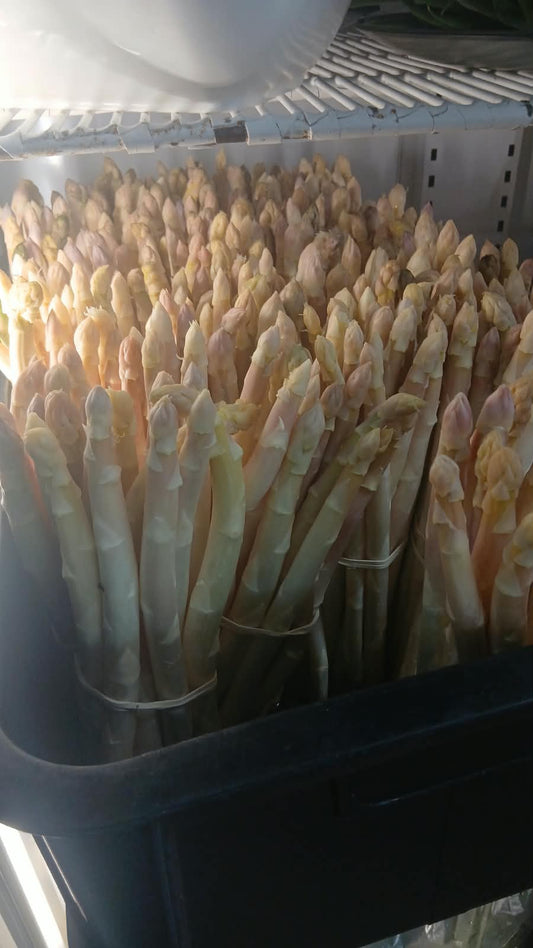 Asparagus White Organic, Jamaka, Clanwilliam - 250g