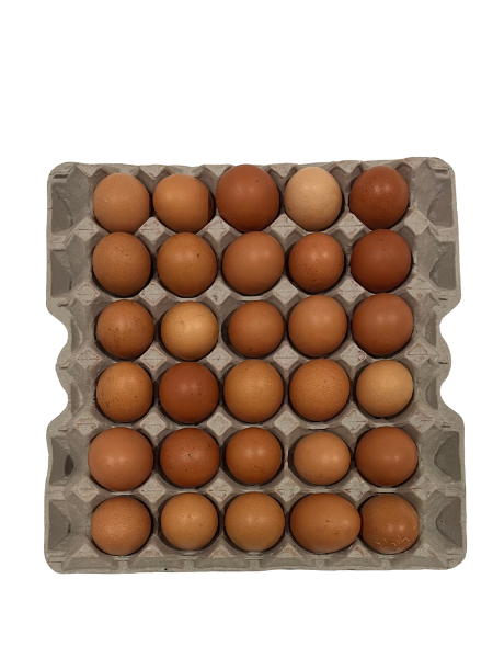 EGGS Winelands Pasture Raised - 30's