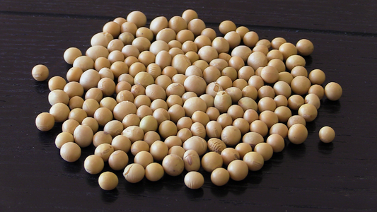 Soy Beans Organic