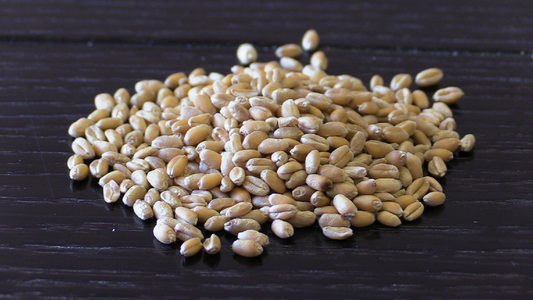 Wheat Kernels Organic